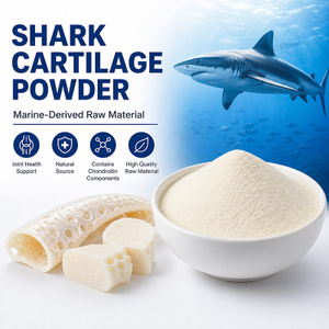 Fornecedor de p&oacute; de cartilagem de tubar&atilde;o | Ingrediente de Sa&uacute;de Conjunta de Fonte Marinha