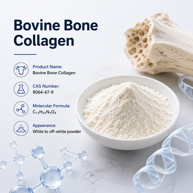 Collagene osseo bovino