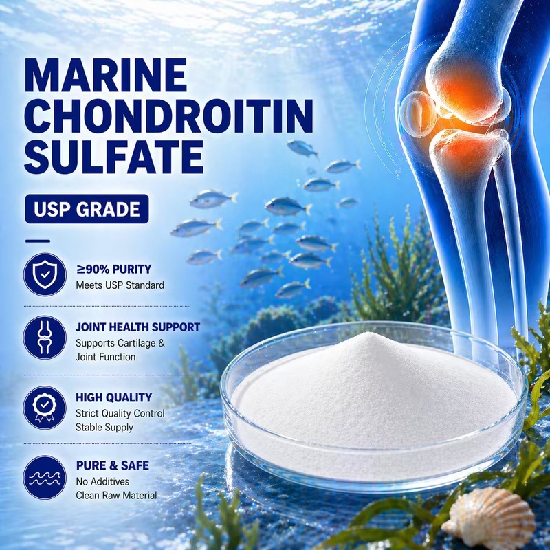Cos'&egrave; meglio, la glucosamina o la condroitina?